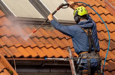 Démoussage et hydrofuge de toiture à Barlin